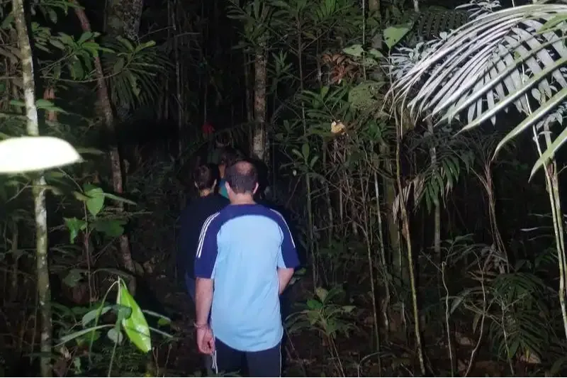 /reisefuehrer/Wandern im Cuyabeno-Dschungel